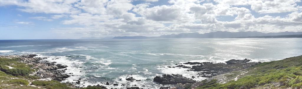 Whale Huys Luxury Oceanfront Eco Villa Gansbaai Extérieur photo